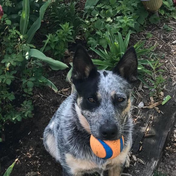 Meet your Posher, Lorna - Picture 1 of 1